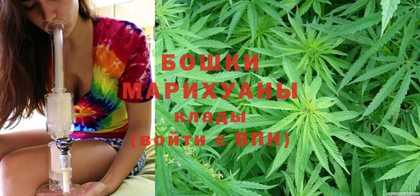 сатива Балахна