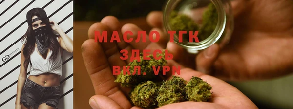 сатива Балахна