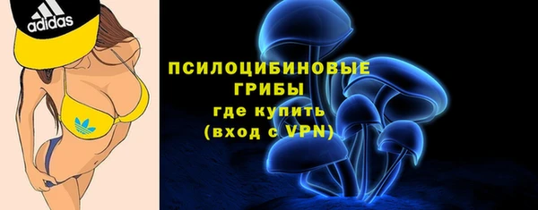 молекула духа Балабаново