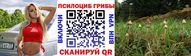 MEGA зеркало  Ленинск  Галлюциногенные грибы Cubensis 